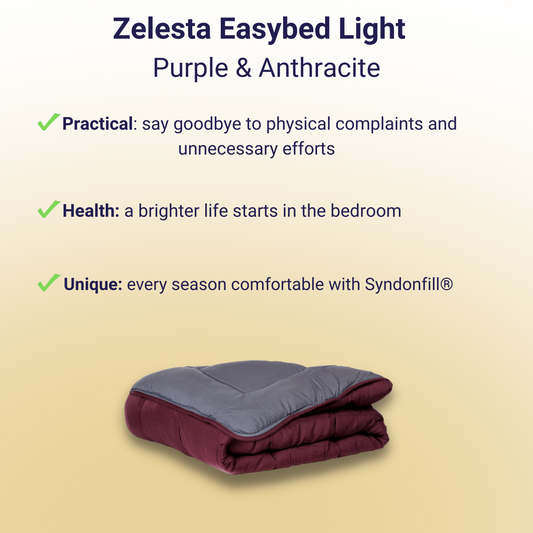 Zelesta Easybed Light - Purple & Anthracite
